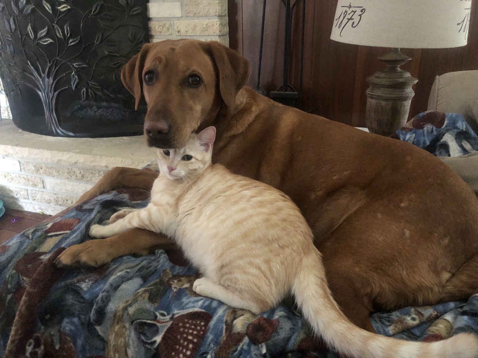 Bailey and Mielle